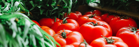 ISO 22000 Food Safety Management System