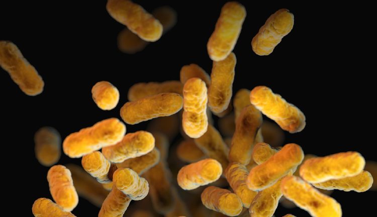 Microbiology Projects